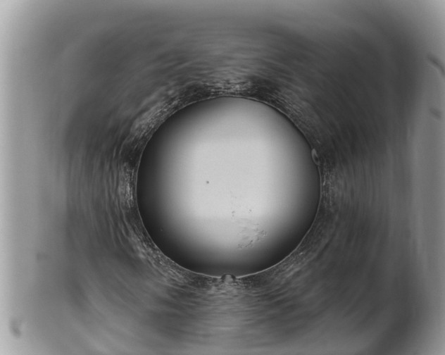 X0000102281058200808011445