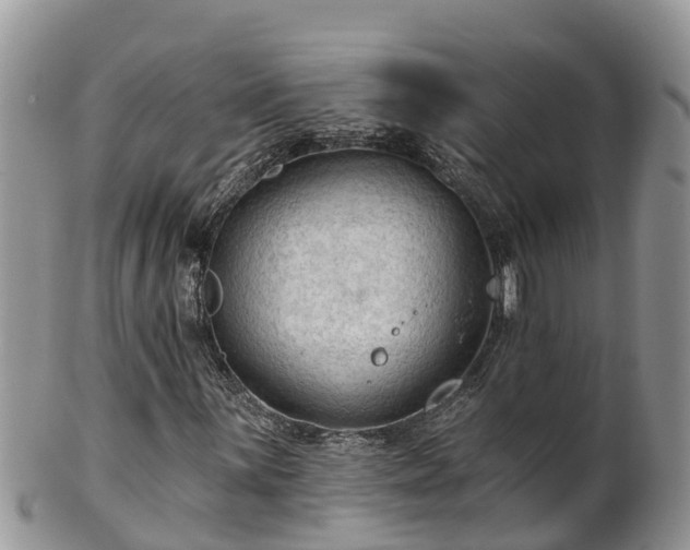 X0000102281059200808011445