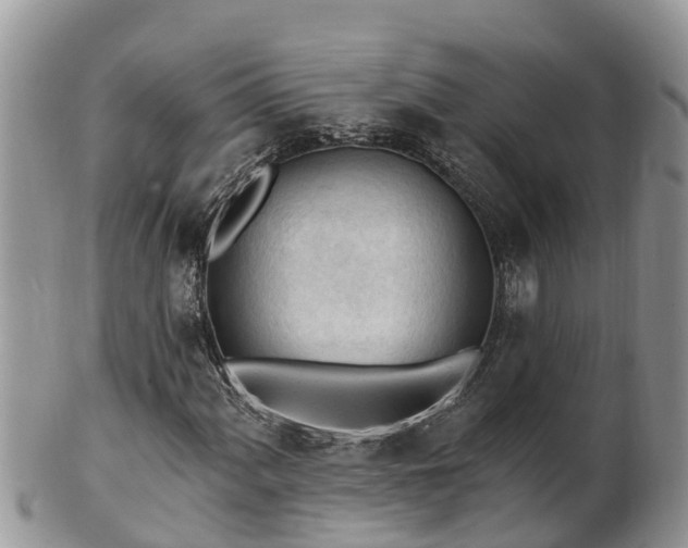 X0000102281060200808011445