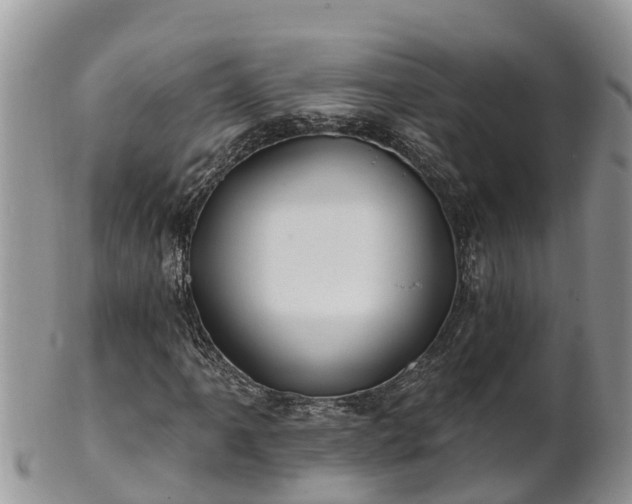 X0000102281061200808011445