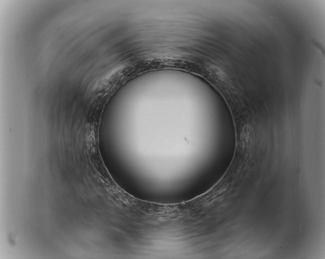 X0000102281062200808011445