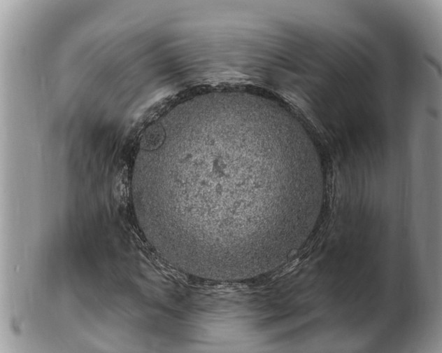 X0000102281063200808011445