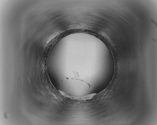 X0000102281064200808011445