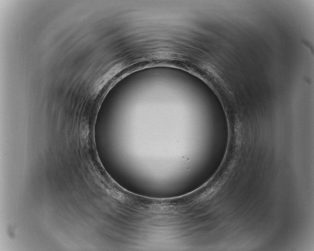 X0000102281065200808011445