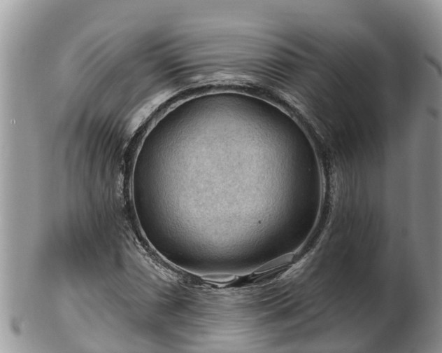 X0000102281066200808011445