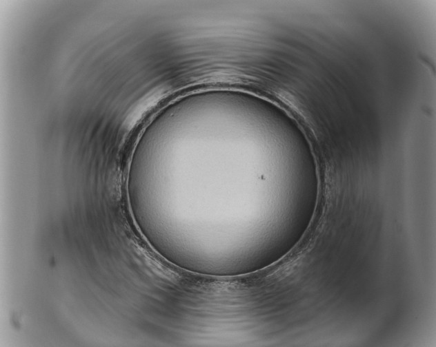 X0000102281067200808011445