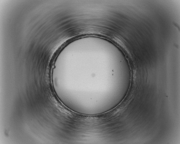 X0000102281068200808011445