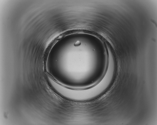 X0000102281069200808011445