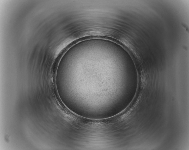 X0000102281070200808011445