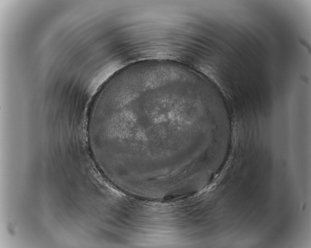 X0000102281071200808011445