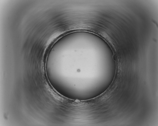 X0000102281072200808011445