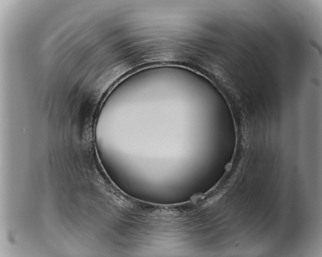 X0000102281073200808011445