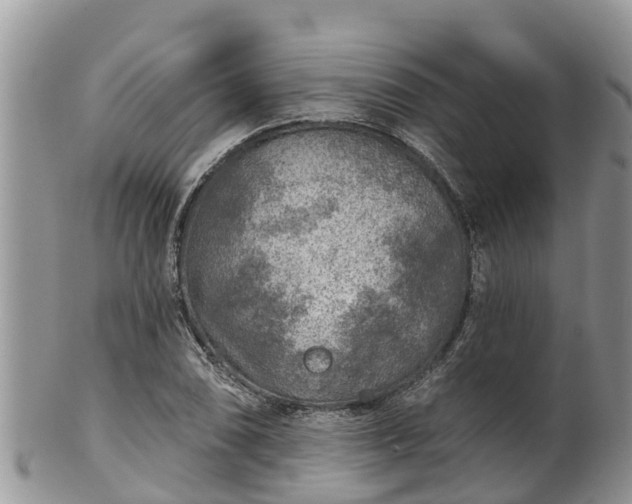 X0000102281074200808011445