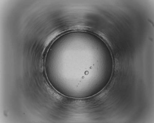 X0000102281075200808011445