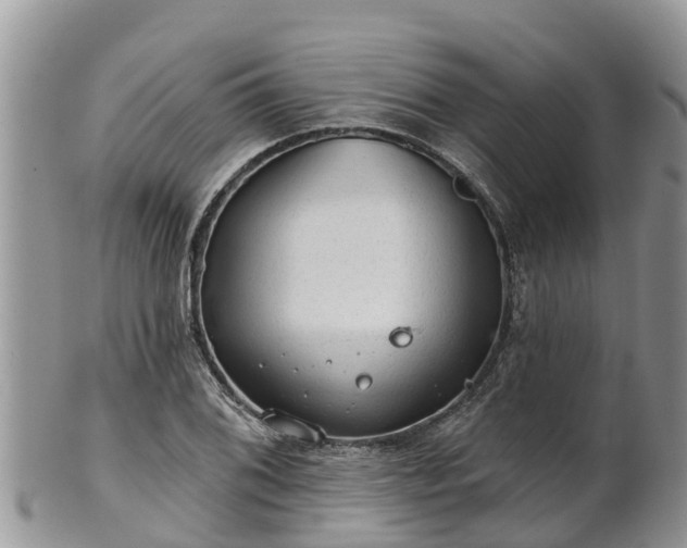 X0000102281076200808011445