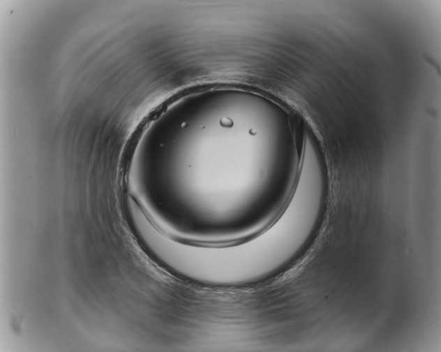 X0000102281077200808011445