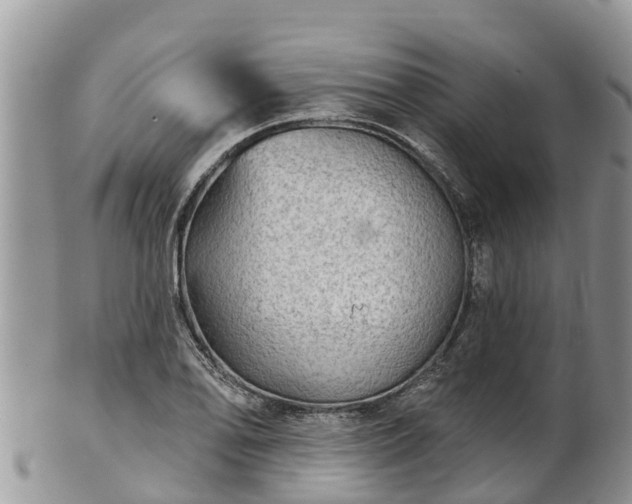 X0000102281078200808011445