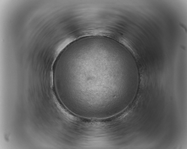 X0000102281079200808011445