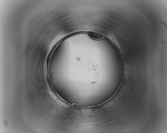 X0000102281080200808011445