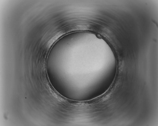 X0000102281081200808011445