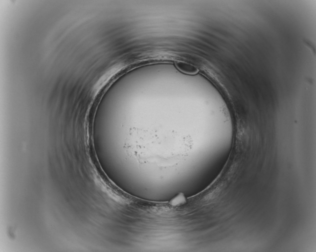 X0000102281082200808011445