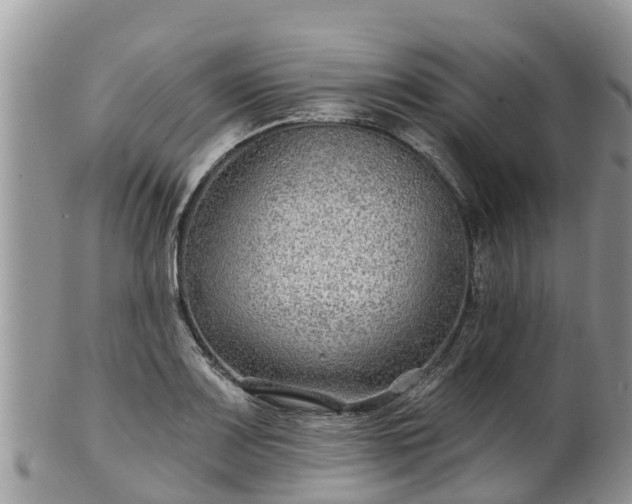 X0000102281083200808011444