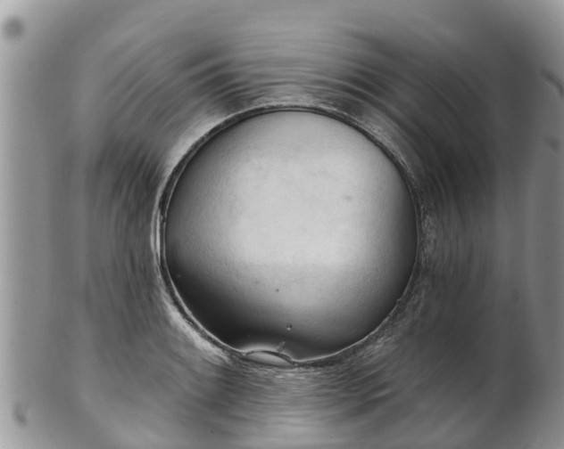 X0000102281084200808011444