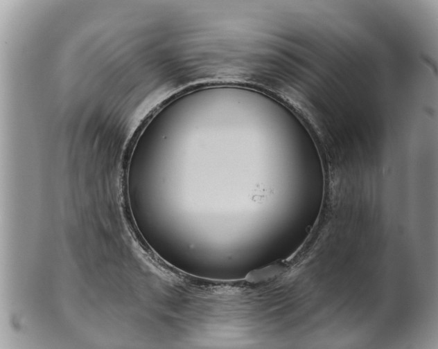 X0000102281085200808011444