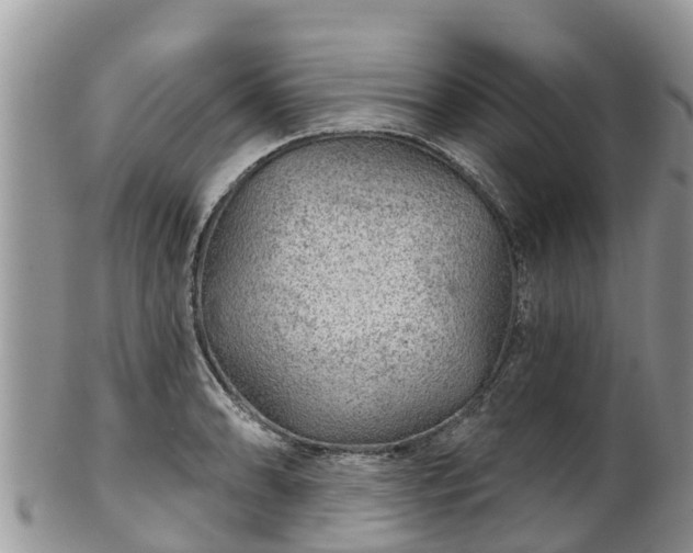 X0000102281086200808011444