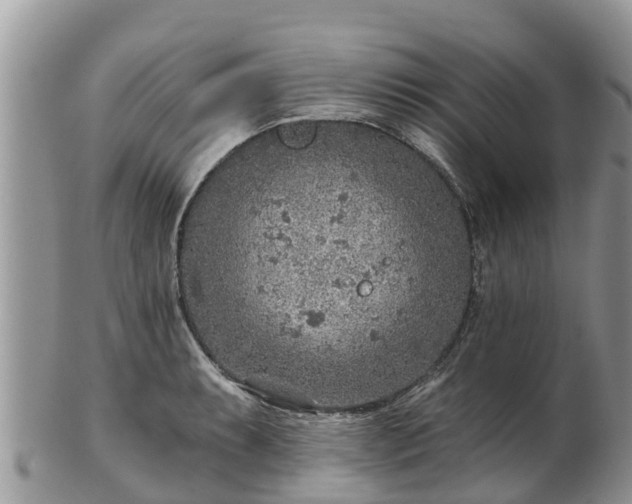 X0000102281087200808011444