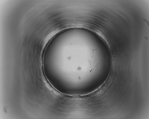 X0000102281088200808011444