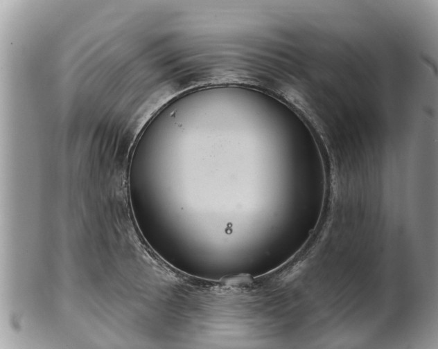 X0000102281089200808011444