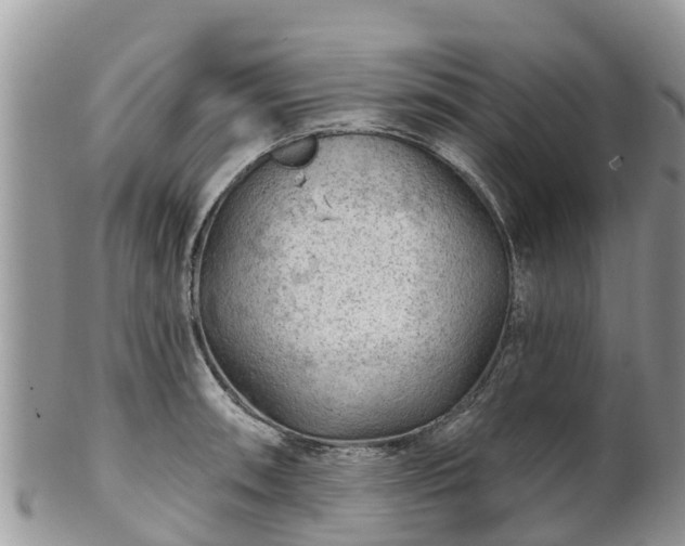 X0000102281090200808011444