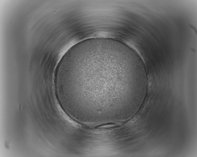 X0000102281091200808011444