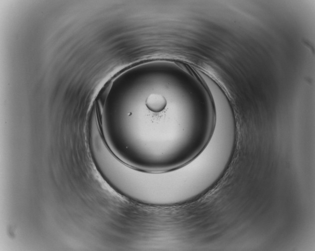 X0000102281092200808011444