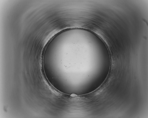 X0000102281093200808011444