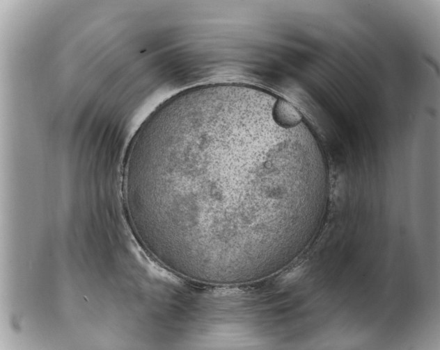 X0000102281094200808011444