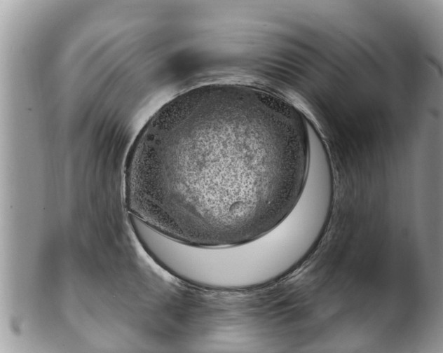 X0000102281095200808011444