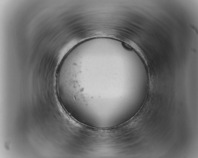 X0000102281096200808011444