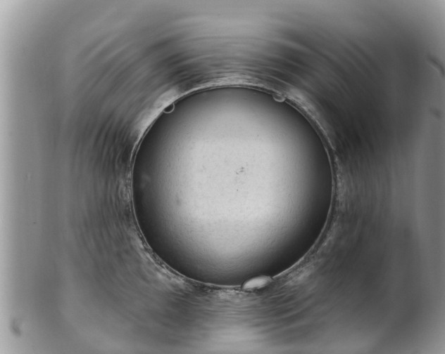 X0000102281097200808011444