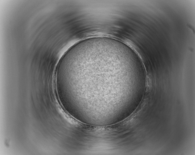 X0000102281098200808011444