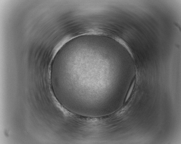 X0000102281099200808011444