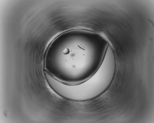 X0000102281100200808011444