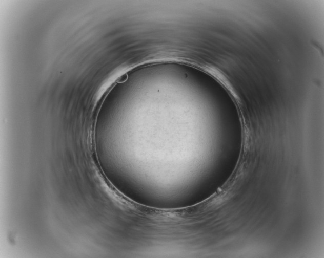 X0000102281101200808011444