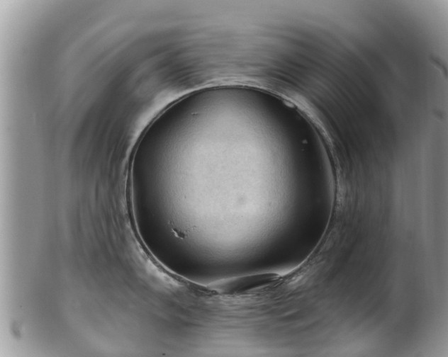 X0000102281102200808011444