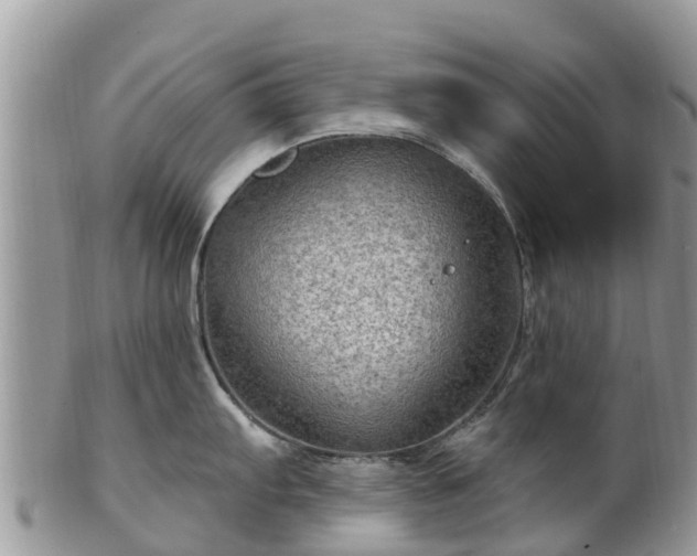 X0000102281103200808011444