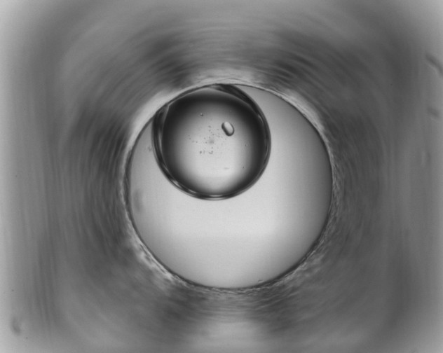 X0000102281104200808011444