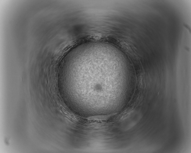 X0000102281105200808011444