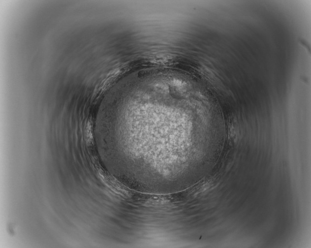 X0000102281106200808011444