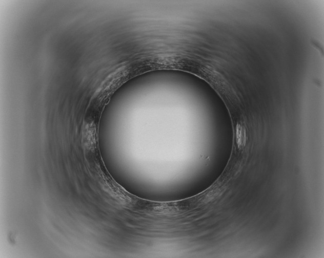 X0000102281107200808011444